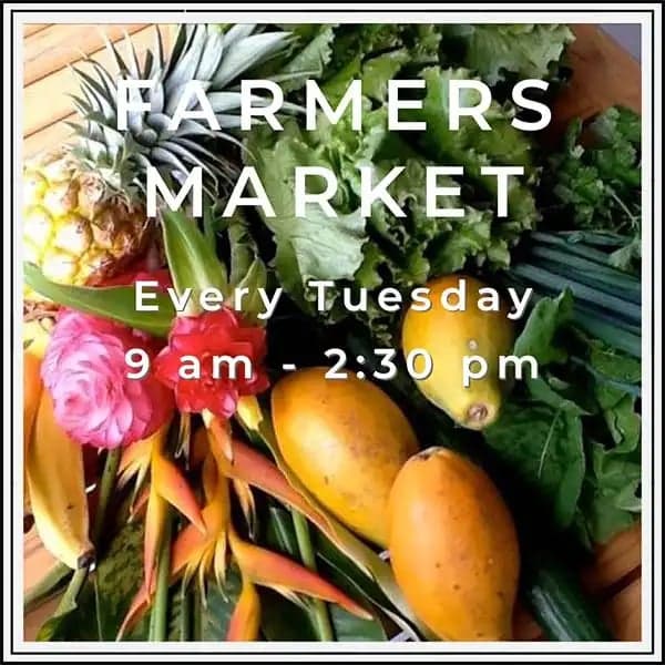 Farmers Market